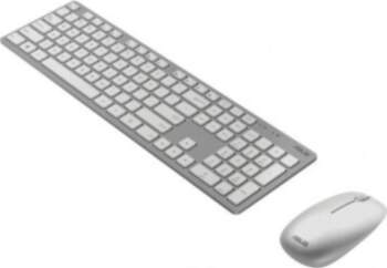 Asus W5000 | Keyboard and Mouse