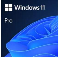 Microsoft Windows 11 Pro 1 license(s)