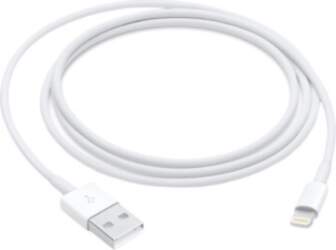 Apple Lightning to USB Cable (1