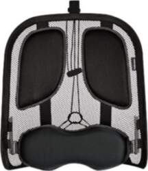8029901 Fellowes | Professional back support