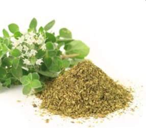 Oregano - 100g