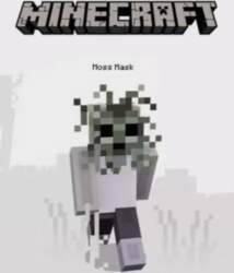 Minecraft Java & Bedrock Edition -
