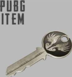 PUBG PlayerUnknown`s Battlegrounds: Early Bird (DLC)