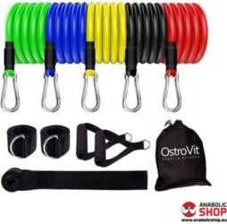 Ostrovit Expander Training Bands Set 5