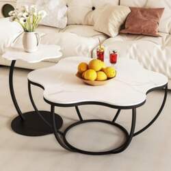Double Layer Open Storage Coffee Table