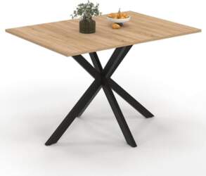IDMarket - Table à Manger Rectangle
