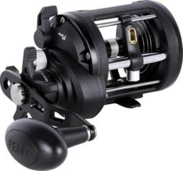 Penn Rival™ II Level Wind Rolle