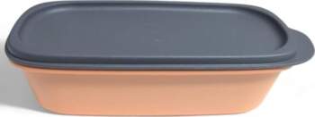 Tupperware Swiss Confederate Compact Container Storage