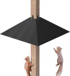 "Squirrel Posts" 18 collu plats