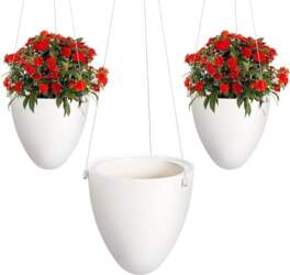 Goomp Pack of 3 Hanging Plant