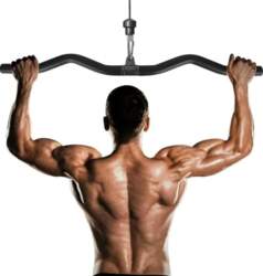 Lat Pull Bar 80 cm, Biceps