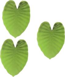Pack of 3 Monstera Table Mats