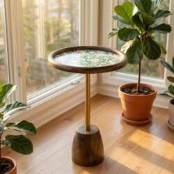 Round Wooden Side Table with Shell