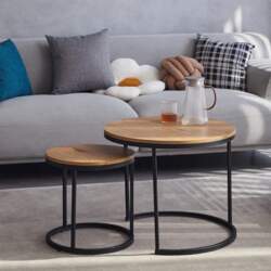 Set of 2 Round Nesting Coffee