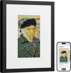 SwitchBot KI Art Frame 7,3``