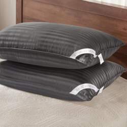 "Basic Beyond Bed" guļamspilveni –