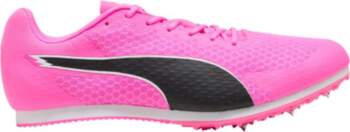 Apavi   Evo Speed Star 9 ar