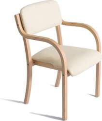 Dining Chairs, Kitchen Chairs, Accent Chairs