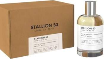 Emper Stallion 53 ANEB0BSZB163ZT