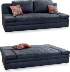 Functional Sofa with Guest Bed and