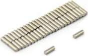 Magnet Experts SP0103DM-1000 N42 neodīma magnēts