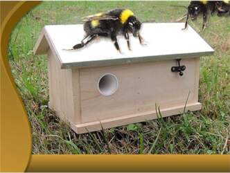 Melko Hummel Bumblebee House, Bumblebee Nesting