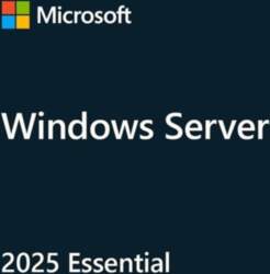 Windows server 2025 essentials gads (10