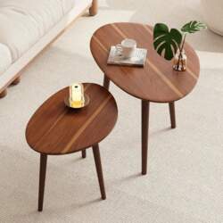 2 Piece Oval Coffee Table Set