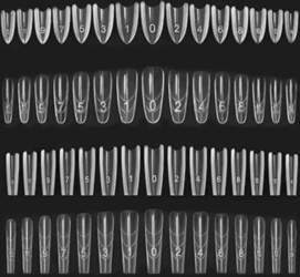 480 Stück Duals Nail Forms Set