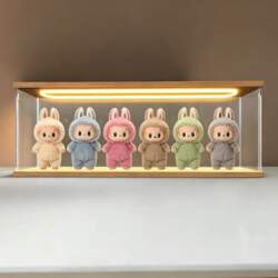 Acrylic Display Case Display Stand with