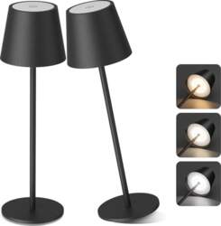 Aipsun 2 x dimmable LED akumulatora