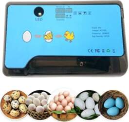 Alex Smart Mini Egg Hatching 12