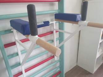 ARTIMEX Pull Up Dip Stand for