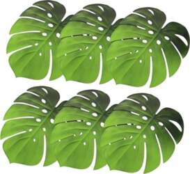 Cabilock Eva Monstera Leaf Coasters Set