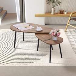 Modern Coffee Table Set (2-Piece) -