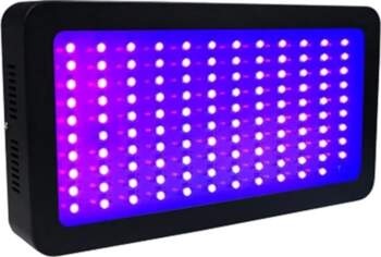 UV UV Curing Lamp, LED UV