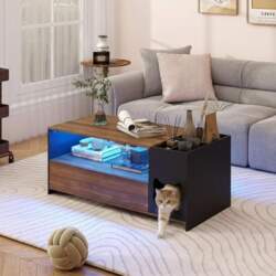 YU YUSING Coffee Table with Cat