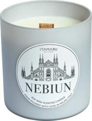 "Nebiun" roku darbs – 100