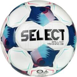 Brillant Training DB v25 FIFA Basic