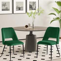 Modern Dining Chairs Set of 2