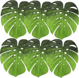 Set of 6 Monstera Leaf Shape