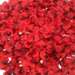CODE FLORIST 2200 gab. 2" sarkani