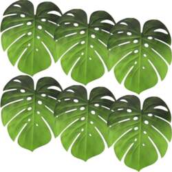 DECHOUS Eva Pack of 6 Monstera