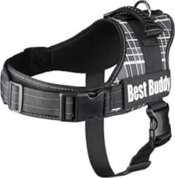 F siksna Best Buddy Pluto Black