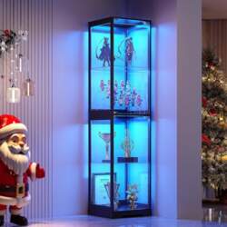 FREDEES Display Case with 3-LED Lights