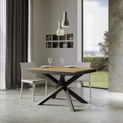 Itamoby, Volantis Evolution Extending Table 160->420