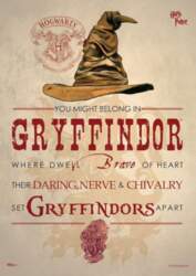 MIGHTYPRINT Harry Potter - Gryffindor -