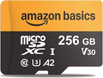 Amazon Basics 256 GB Micro SD