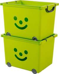 Iris Ohyama Set of 2 Storage