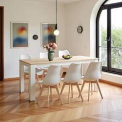 Dining Table with 6 Chairs, Dining
